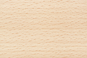 Beech wood texture. Plywood background stripes and dashes. Natural beige color.