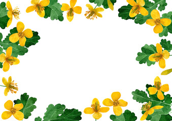 Watercolor frame with yellow wildflowers and leaves on a white background. For greeting card, invitation, background, design. Hand drawn illustration.