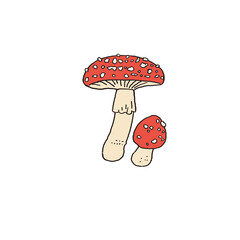 ベニテングタケ　イラスト　線画
