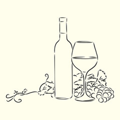 Sketch wine bottle and glass, wine bottle and glass, vector sketch illustration