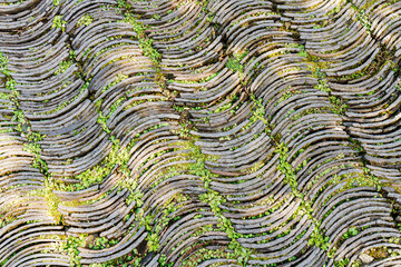Top view of curve shape stone path arrange in line on floor in rural park