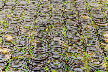 Top view of curve shape stone path arrange in line on floor in rural park