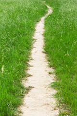 path walk way up road in green grass field vertical background