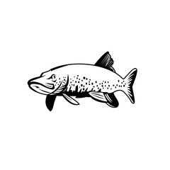 Northern Pike Lakes Pike or Jackfish Swimming Retro Black and White