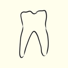 Hand-drawn black lines sketch  illustration, design brochures for dentistry, medical manuals, books or packaging, isolated vector . human tooth, vector sketch illustration