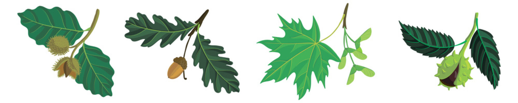 vector drawing branches of trees