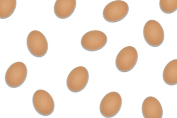 uova gallina 