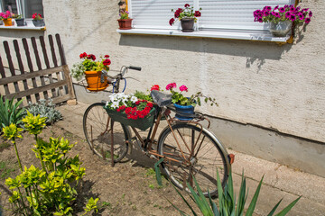 Fototapeta na wymiar Old bicycle with flowers