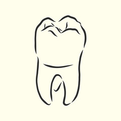 Hand-drawn black lines sketch molar, tooth. Doodle drawing. Object, Element, icon Component for illustration, manuals, books or packaging, isolated vector . human tooth, vector sketch illustration