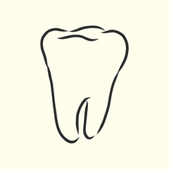 Hand-drawn black lines sketch molar, tooth. Doodle drawing. Object, Element, icon Component manuals, books or packaging, isolated vector . human tooth, vector sketch illustration