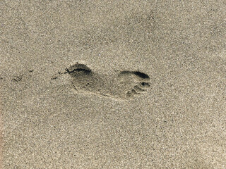 Fototapeta na wymiar Footprint on sand close-up. Summer concept. Copy space. Vacation 