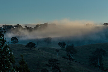 Fog rolling in on Gigerline Nature Reserve
