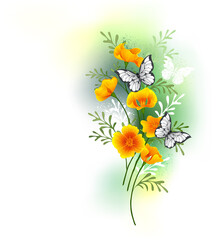 California poppy with butterflies
