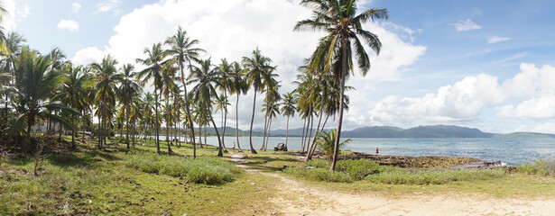 Fototapeta na wymiar Tropical palm trees and ocean landscape at Las Galeras Beach in the Samaná Bay of Caribbean Dominican Republic.