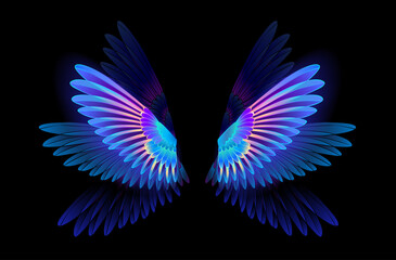 Glowing hummingbird wings
