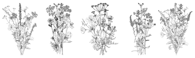 vector drawing flowers