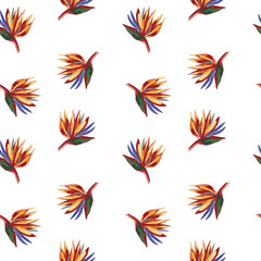 Fototapeta na wymiar Strelitzia reginae crane flower pattern on lemon background.