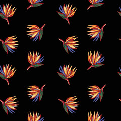 Strelitzia reginae crane flower pattern on black background.