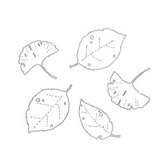 落ち葉のラインイラスト