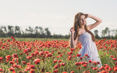 Obraz na płótnie Canvas A girl in a white sundress enjoys the warmth of the sun and walks through a poppy field