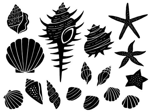 貝殻とヒトデのシルエットイラストセット Stock ベクター Adobe Stock