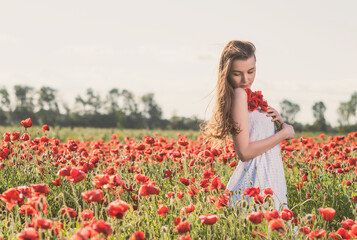 Naklejka na ściany i meble A girl in a white sundress enjoys the warmth of the sun and walks through a poppy field