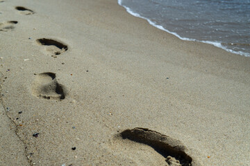 footprints of a person in the wet sand of a beach