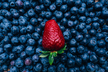 Blueberry and strawberry background