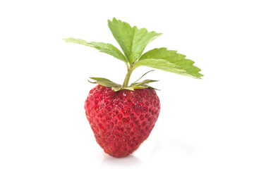 Strawberry whit leaves isolated on a white background. Fresh ripe single strawbery on white