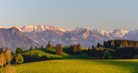 Sunset in the Allgäu Alps. Rural landscape with snowy rocky mountains, forest and green fields in spring. Bavaria, Germany