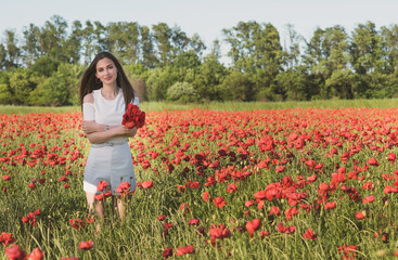Naklejka na ściany i meble A dark, stylish, slender girl poses against the background of a poppy field with her hair flowing in the wind in the warm rays of the summer sun