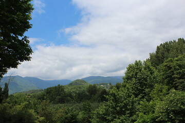 PAYSAGES CEVENOLS