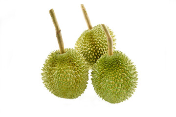 Durian Kanyao on isolated white background. This is one of a famous durian kind that high price.  The whole fruit is green, when ripe inside is yellow. This is smelly exotic Thailand nature plant.