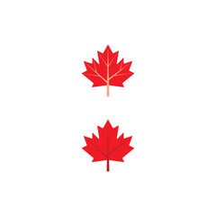 Maple leaf vector illustration