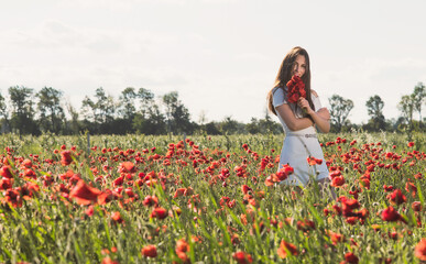 Fototapeta na wymiar A dark, stylish, slender girl poses against the background of a poppy field with her hair flowing in the wind in the warm rays of the summer sun
