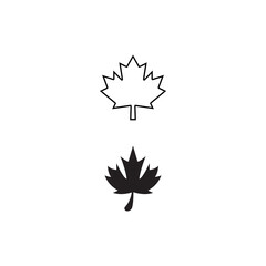Obraz premium Maple leaf vector illustration