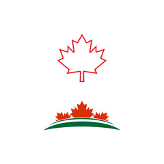 Fototapeta premium Maple leaf vector illustration