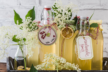 Different bottles with homemade elderflower syrup in front of a white wall, decorated with...