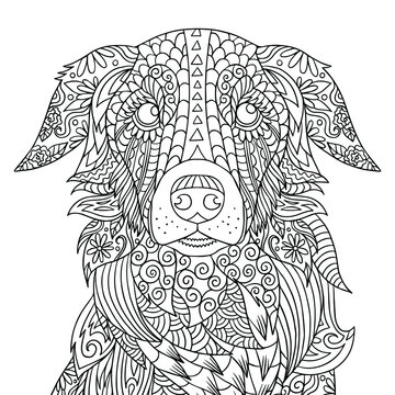 Vector illustration of dog's portrait. Puppy in sketch doodle and pattern elements. Coloring book page for adult.  Outline isolated art of pet.