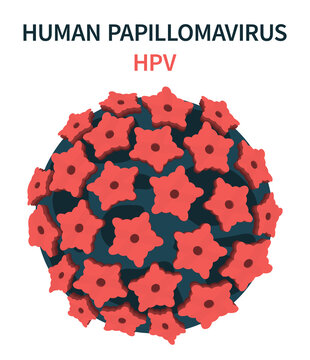 Enlarged image of the human papillomavirus HPV . Cell structure. Vector illustration.