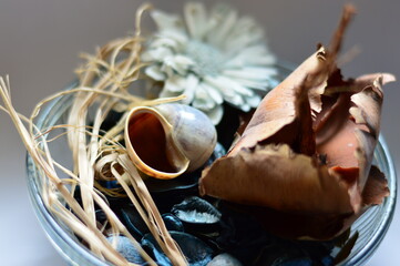 still life dried petals