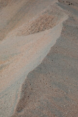 dune landscape in the desert