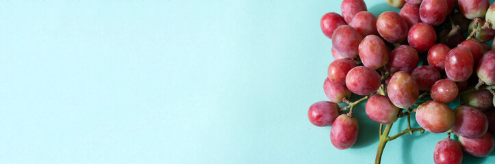 Banner grapes, blue background, berries, fresh fruit photo.