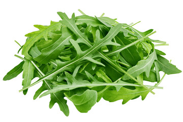 Arugula, rocket, eruca, rucola, isolated on white background, clipping path, full depth of field