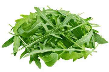 Arugula, rocket, eruca, rucola, isolated on white background, clipping path, full depth of field