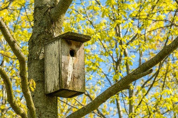 Old bird house hanging on a tree