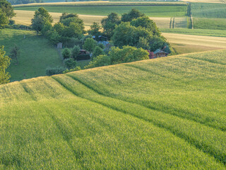 Getreideanbau im Frühjahr