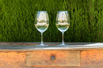 Dos copas de vino blanco sobre una mesa de madera rústica y con un fondo verde de un arbusto. Vista de frente