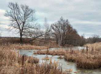 Autumn landscape with withered grass along the river bank on a cloudy day