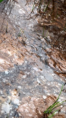 Water pollution, dehydration and stagnation in natural waters.